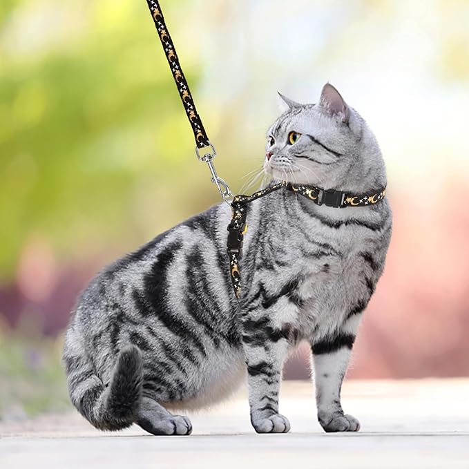 Cat Harness and Leash Set - Escape Proof Adjustable for Outdoor Walking with Safety Buckle for Small Animals Glow in The Dark