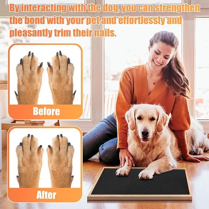 Pet Nail Self Adhesive Replacement Emery Paper Fits Most Dog Scratch Pad Cat Litter Box DIY on The Places Where Pets Like to Scratch Alternatives to Cat and Dog Nail Clippers (10in*13ft, White)
