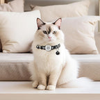 Cat Collar Breakaway with QR Code Name Tag, Reflective Kitten Collars with Bell, Cat ID Tag Personalized, Ultra-Durable, Adjustable, Quick Release, Fits Most Girl Boy Small Large Cats