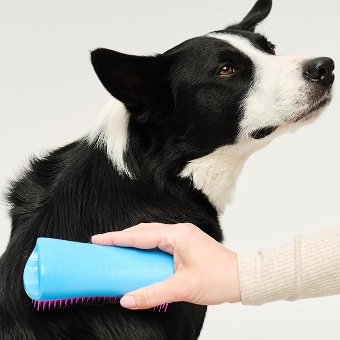 Pet Teezer De-Shedding Dog Brush by Tangle Teezer, Dog Grooming Tool for Long Haired Breeds and Wet or Dry Fur, Large, Blue & Pink