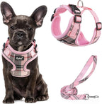 PUPTECK Soft Mesh Dog Harness and Leash Set Pet Puppy Cat Adjustable Reflective Padded Vest No Pull Harnesses, Pink, S