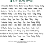 Ultra Joys Cat ID Tag Personalized Pet Tags, Durable Stainless Steel Small Pet Mini Dog Cat Tag Lightweight - Star Tag in Silver