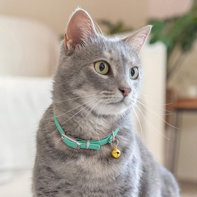 CollarDirect Leather Cat Collar with Bell - Kitten Collar, Small and Big Cat Collar for Boy Cats, Girl Cats with Safety Elastic Strap (Neck Fit 8"-11", Mint Green)