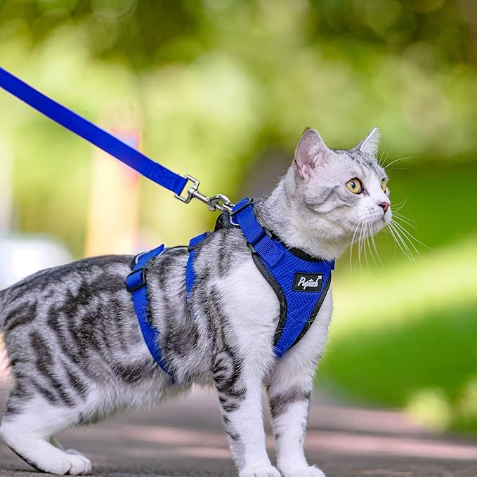 PUPTECK Cat Harness and Leash Set Escape Proof for Walking, Breathable Mash Vest Adjustable Harness for Cats Puppy Small Animals, Reflective at Night, Blue Small
