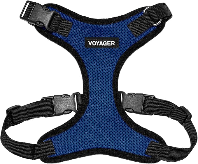 Voyager Step-in Pet Harness - All Weather Mesh, Adjustable Step in Harness for Cats and Dogs by Best Pet Supplies - Royal Blue/Black Trim, M