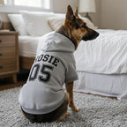 Personalized Dog Hoodie with Name/Text, Custom Embroidered or Printed Dog Sweater, Warm Winter Hoodie for Puppies, Cute Birthday Outfit, Unique Gift for Pet Lovers, A3
