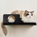 Cat Wall Shelves, Creative Design Cat Shelf with Peephole, 19 x 10 inch Cats Wall Furniture with Comfortable Pad, Cats Perch for Sleeping, Playing, and Scratching, Walnut