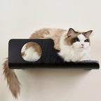 Cat Wall Shelves, Creative Design Cat Shelf with Peephole, 19 x 10 inch Cats Wall Furniture with Comfortable Pad, Cats Perch for Sleeping, Playing, and Scratching, Walnut