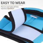 PUPTECK Soft Mesh Cat Vest Harness and Leash Set Puppy Padded Pet Harnesses Escape Proof for Cats Small Dogs, Blue Large