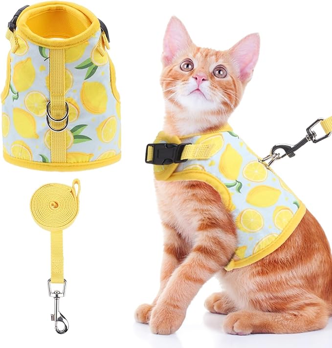 BINGPET Cat Harness and Leash Set Escape Proof for Walking,Step-in Harness with Lightweight Soft Breathable Mesh,Adjustable Easy Control Harness (Sunshine Citrine, L(Chest:12.5-16.5"))
