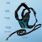 Voyager Escape-Proof Step-in Lock Cat Harness & 5ft Neoprene-Handle Leash Set All-Weather Mesh with Reflective Stitching for Small to Large Cats by Best Pet Supplies, Turquoise/Black Trim, XXXS