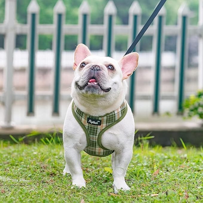 PUPTECK Soft Mesh Dog Harness and Leash Set Pet Puppy Cat Comfort Padded Vest No Pull Harnesses, Olive Green, XS