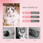 Smart QR Code Cat Collar with Online ID Profile & Integrated Airtag Holder, Breakaway Safety Collar with Bell, Adjustable 8-13in for Cats and Small Dogs(Yellow)