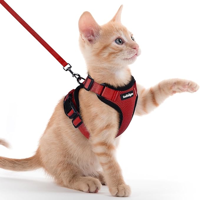 rabbitgoo Cat Harness and Leash for Walking, Escape Proof Soft Adjustable Vest Harnesses for Cats, Easy Control Breathable Reflective Strips Jacket, Red, XXS