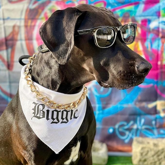 Biggie Matching 90's Hip Hop Dog Bandana (White, OS 403)