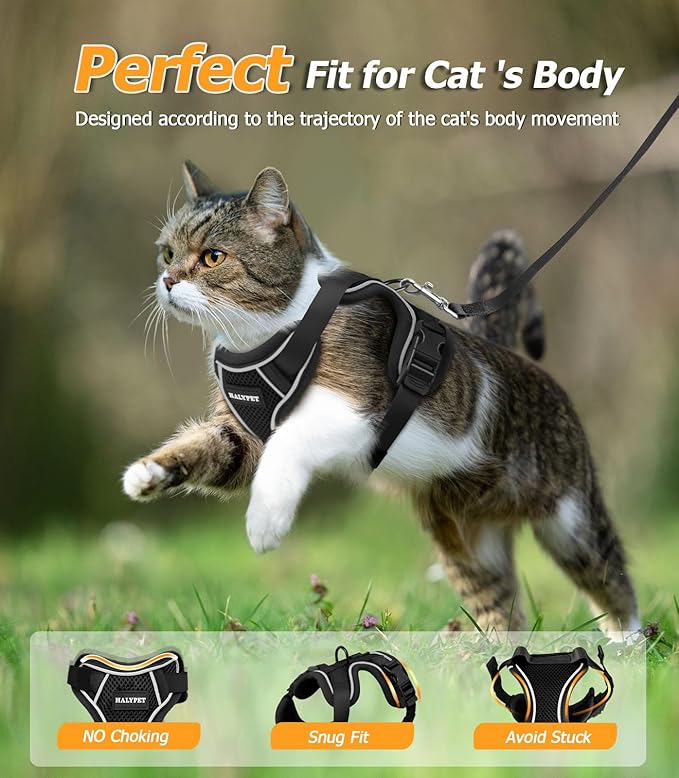 Halypet Cat Harness and Leash Set [MAX Safety 4th-Gen Upgrade] Escape Proof Adjustable Cat Leash Comfortable Soft Vest Easy to Wear Kitten Harness with Reflective Strip for Cats Walking, XS Black