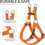 PUPTECK No Pull Dog Harness Soft Adjustable Basic Nylon Step in Puppy Vest Outdoor Walking with ID Tag and A-ir Tag Case, Orange, S