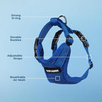 Voyager Step-in Pet Harness - All Weather Mesh, Adjustable Step in Harness for Cats and Dogs by Best Pet Supplies - Royal Blue, L