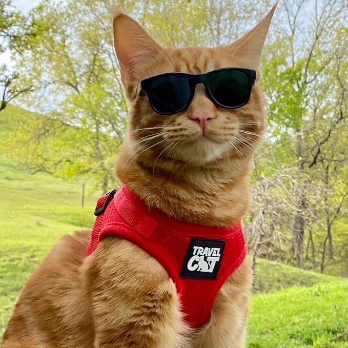 Travel Cat Harness and Leash Set - Adjustable Fit Mesh Cat Harness and Reflective Strap - Comfort Walking Vest for Kitten for Outdoor Walking, Hiking (Large, Red)