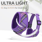 PUPTECK Soft Mesh Dog Harness and Leash Set Pet Puppy Cat Comfort Padded Vest No Pull Harnesses, Purple, L
