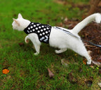 Cat Harness and Leash for Walking Escape Proof, Adjustable Cat Vest Harness, Padded Stylish Cat Walking Jackets, Polka Dot Black, Medium