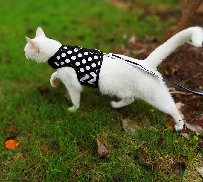 Cat Harness and Leash for Walking Escape Proof, Adjustable Cat Vest Harness, Padded Stylish Cat Walking Jackets, Polka Dot Black, Large