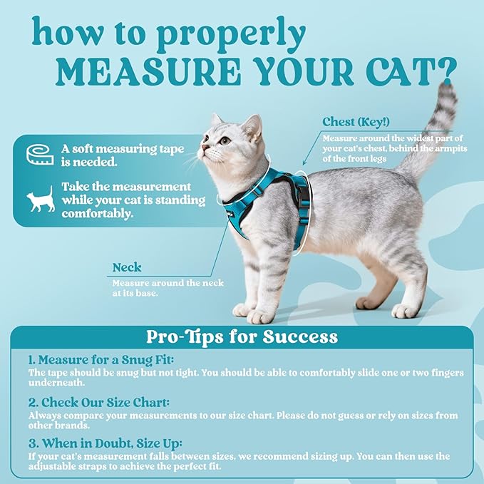 rabbitgoo Cat Harness and Leash for Walking, Escape Proof Soft Adjustable Vest Harnesses for Cats, Easy Control Breathable Reflective Strips Jacket, Teal, XS