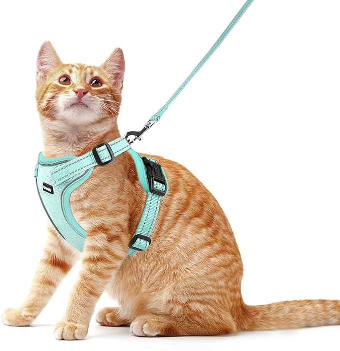 Rttochfy Cat Harness and Leash Set, Adjustable and Reflective Cat Vest, Escape Proof Kitten Harness, Easy to Put on with 3 Buckles for Cats Walking and Traveling (Light Green, M)