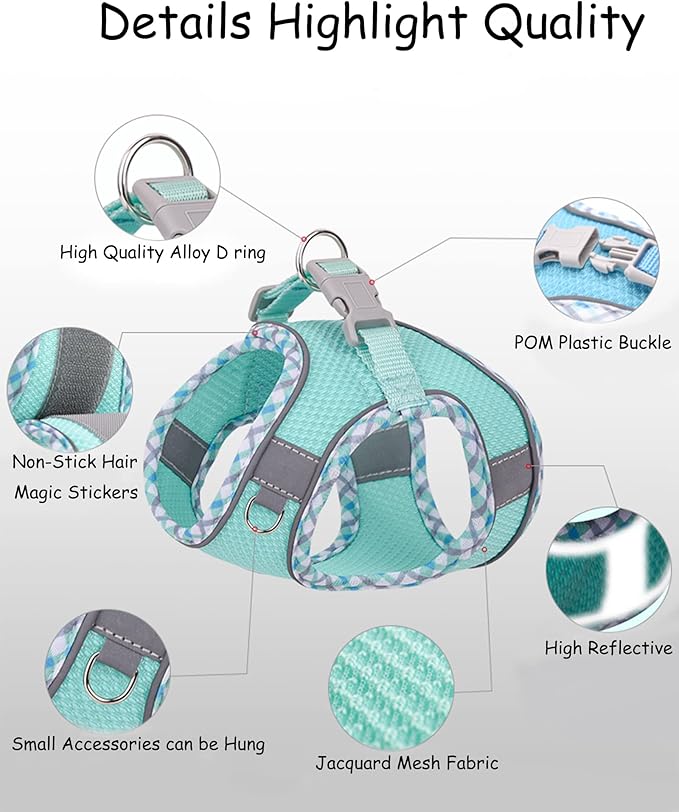 Petank Dog Harness for Small Medium Dogs No Pull, Puppy Harness and Leash Set, Step in Dog Harness for Walking, Running, Training, Small Dog Vest, Medium Dog Vest (Bule, L)