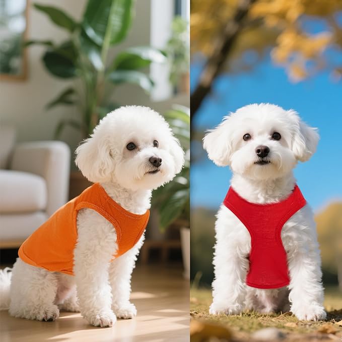 4 Pcs Cat Shirts Solid Color Dog Clothes Summer Sleeveless Pet T Shirts for Small Pet Dogs Cat (Black,Grey,Red,Orange, Medium)
