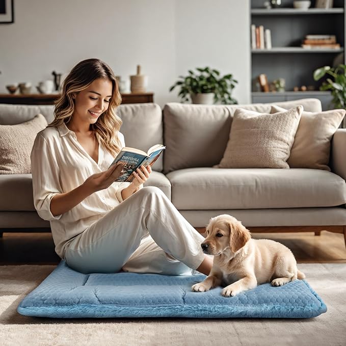 Dog Bed Mat, Crate Pad Reversible,Soft Kennel Pad, Washable Dog Crate Mat (Cool and Warm),Pet Sleeping Mattress for Small Medium Dogs XB009 (48''x30'',Blue)