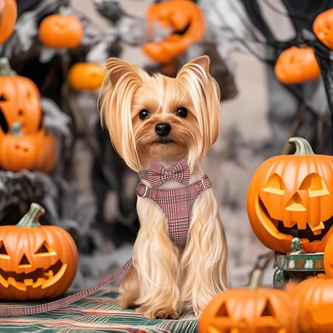 Beirui Cute Extra Small Dog Harness Collar and Leash Set with Bowtie, Soft Adjustable Plaid Puppy Harness for Small Sized Dogs Cats Walks Parties and Photoshoots(Maroon,XXS:Chest 12-14")