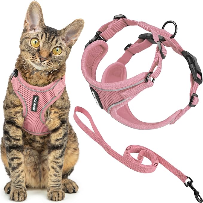Voyager Escape-Proof Step-in Lock Cat Harness & 5ft Neoprene-Handle Leash Set All-Weather Mesh with Reflective Stitching for Small to Large Cats by Best Pet Supplies, Pink (327), XXS