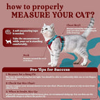 rabbitgoo Cat Harness and Leash for Walking, Escape Proof Soft Adjustable Vest Harnesses for Cats, Easy Control Breathable Reflective Strips Jacket, Red & Teal, XS