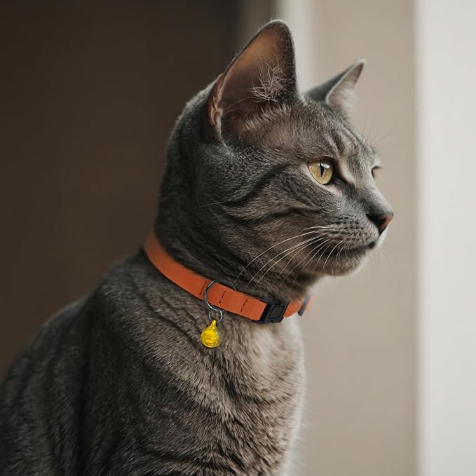 Breakaway Cat Collar Leather with Removable Bell - 13 Colors Available - Soft Adjustable Girl Boy Safety Lightweight Pet Kitten Collars Pink Brown Blue Green Red Orange Black (Emerald)