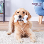 Multipet Chilly Bone Dog Toy - Vanilla-Scented Canvas Freezable Teething Toys - Frozen Toy for Chewing & Playing - Freezable Dog Toys (1 Count, 7”)