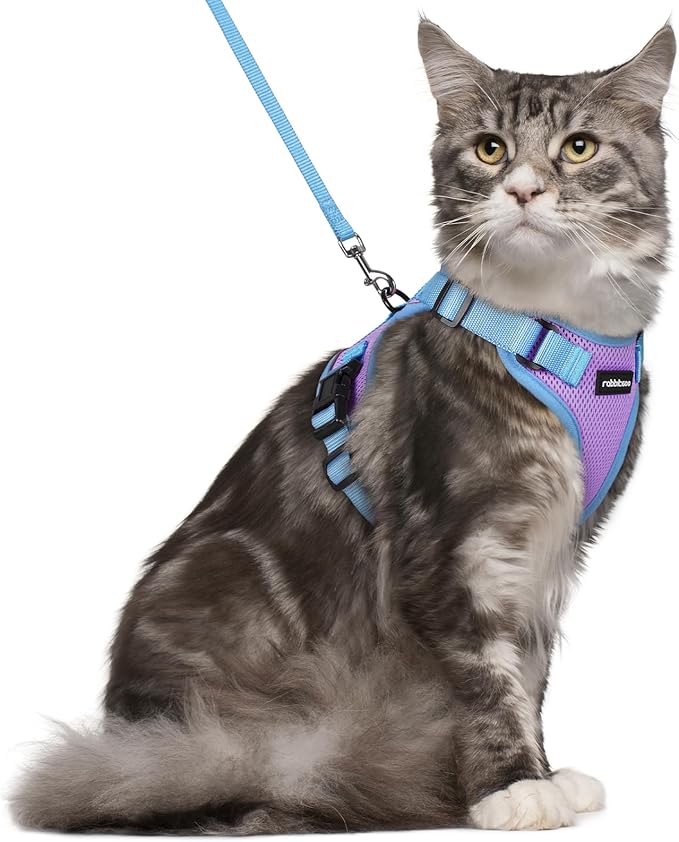 rabbitgoo Cat Harness and Leash Set, Escape Proof Soft Adjustable Vest Harnesses for Outdoor Walking, Easy Control Breathable Kitten Jacket with Reflective Strips, Purple & Blue, M
