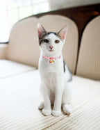 Cat Collar Breakaway with Bells,3 Pack Safety Adjustable Pet Collars,Ideal for Girl Boy Kittens. (Orange Green Pink)