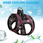 Step in Dog Harness Comfort Mesh Dog Vesr Harness Extra Small Pet Harness for Chihuahua Soft Padded Harness Lightweight Puppy Harness for Cat Doggie Outdoor Walking (Rose, Medium)