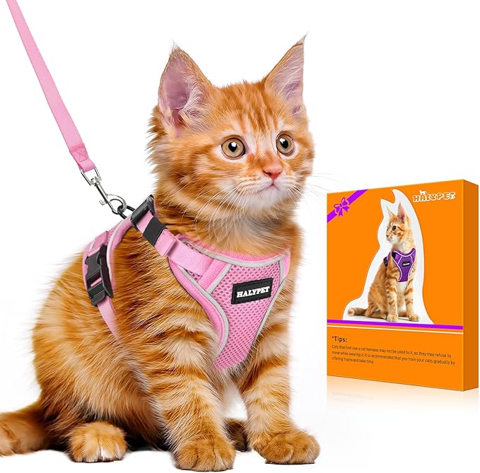 Halypet Cat Harness and Leash Set [MAX Safety 4th-Gen Upgrade] Escape Proof Adjustable Cat Leash Comfortable Soft Vest Easy to Wear Kitten Harness with Reflective Strip for Cats Walking, XS Pink