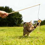 2-Pack Cat Toy Wand Set: Interactive Cat Teaser Wands with Bells and Streamers to Engage Your Cat’s Natural Instincts (Birds and Insects)