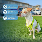 Best Pet Supplies Voyager Step-in Air All Weather Mesh Harness and Reflective Dog 5 ft Leash Combo with Neoprene Handle, for Small, Medium and Large Breed Puppies - Set (Lime Green), S