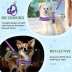 SlowTon No Pull Small Dog Harness and Leash Set, Puppy Soft Vest Harness Neck & Chest Adjustable, Reflective Lightweight Harness & Anti-Twist Pet Lead Combo for Small Medium Dogs (PU-Front Clip, XXS)