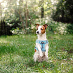 PUPTECK Soft Mesh Dog Harness and Leash Set Pet Puppy Cat Comfort Padded Vest No Pull Harnesses, Light Blue, XS