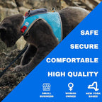 Travel CAT The Pathfinder Cat Harness with GPS Tracker Pocket - Powered by Tractive Cat Harness Escape Proof - Walking Escape Proof Harness for Small, Large Cat, Kitten (Blue, Small)
