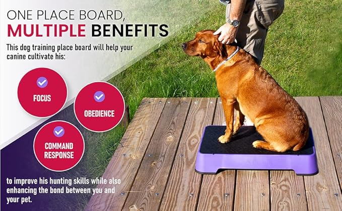 HUNTMARK Dog Training Place Board - Durable Hunting Dog Training Platform - Non-Skid Surface and Nonslip Feet - Stackable, Portable Agility Platform - Modern Puppy Trainer Equipment (Purple)
