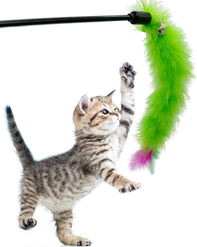 Cat Wand Feather Toys, 6 Pieces Interactive Cat Feathers Teaser Toy for Indoor Cats Play