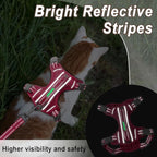 Cat Harness and Leash Set for Walking Escape Proof for Small Large cat Kitten Harness with ID tag Pocket (Pink,S)