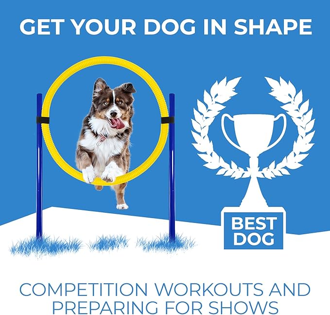 Dog Agility Training Equipment, Dog Obstacle Course, Exercise Fun for Pets (Yellow)