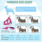 SlowTon No Pull Small Dog Harness and Leash Set, Puppy Soft Vest Harness Neck & Chest Adjustable, Reflective Lightweight Harness & Anti-Twist Pet Lead Combo for Small Medium Dogs (Fuchsia, XXS)